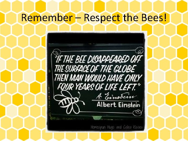 Remember – Respect the Bees! 