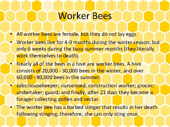 Worker Bees • All worker bees are female, but they do not lay eggs.