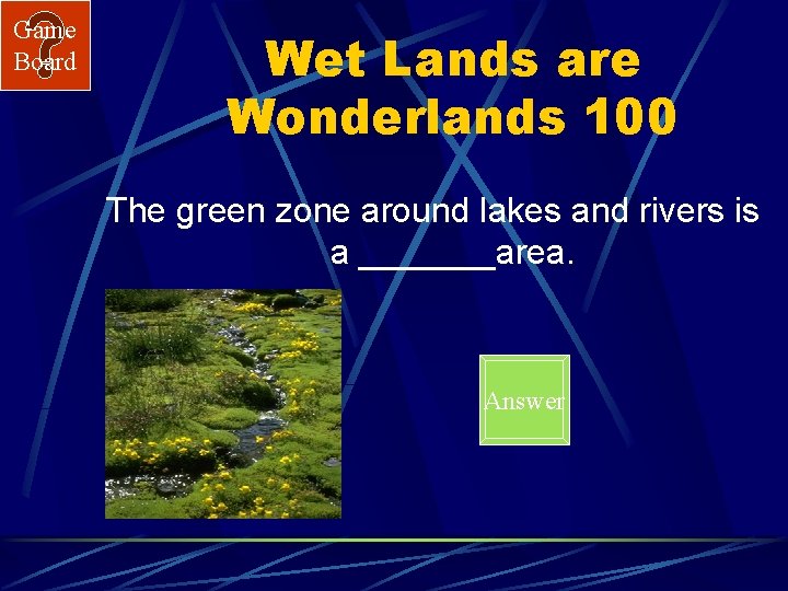 Game Board Wet Lands are Wonderlands 100 The green zone around lakes and rivers