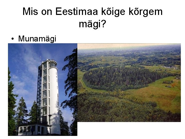 Mis on Eestimaa kõige kõrgem mägi? • Munamägi 