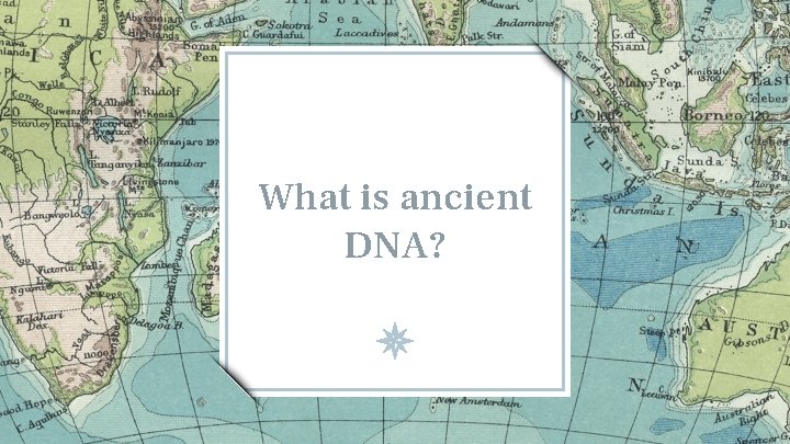 What is ancient DNA? 