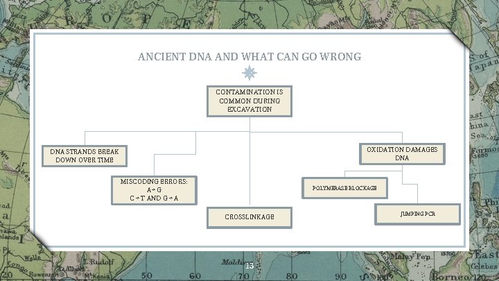 ANCIENT DNA AND WHAT CAN GO WRONG CONTAMINATION IS COMMON DURING EXCAVATION OXIDATION DAMAGES