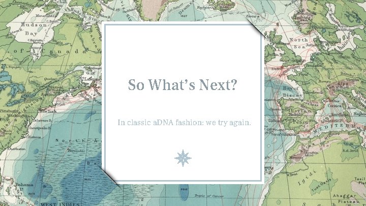 So What’s Next? In classic a. DNA fashion: we try again. 