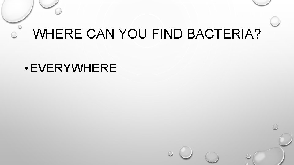 WHERE CAN YOU FIND BACTERIA? • EVERYWHERE 