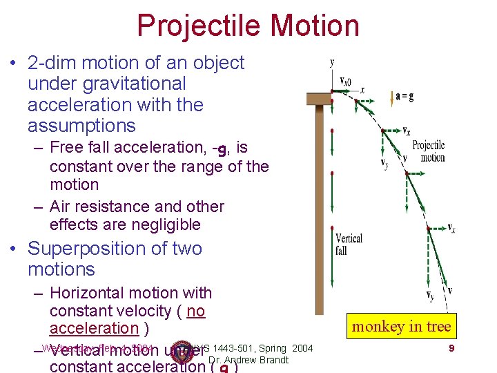 Projectile Motion • 2 -dim motion of an object under gravitational acceleration with the