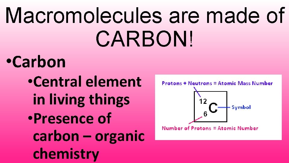 Macromolecules are made of CARBON! • Carbon • Central element in living things •