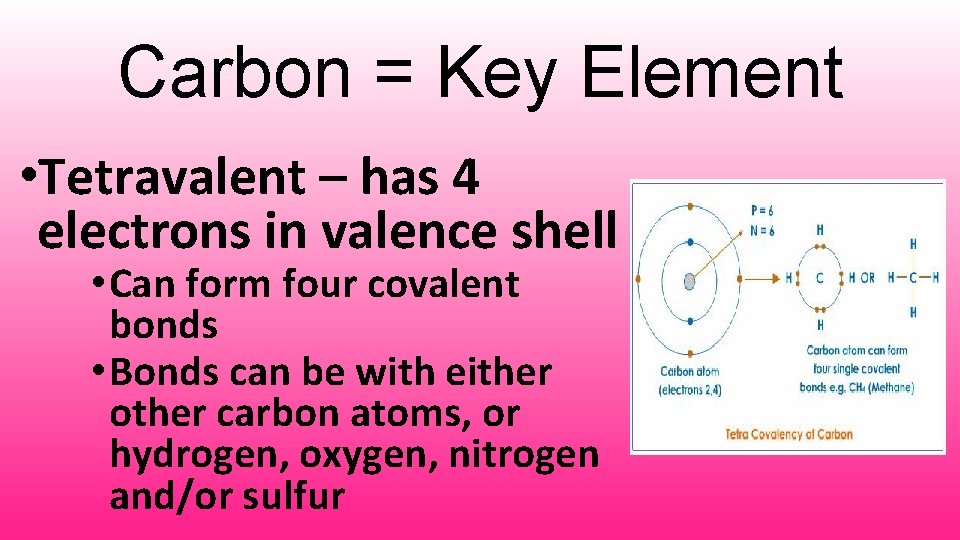 Carbon = Key Element • Tetravalent – has 4 electrons in valence shell •