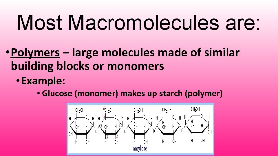 Most Macromolecules are: • Polymers – large molecules made of similar building blocks or