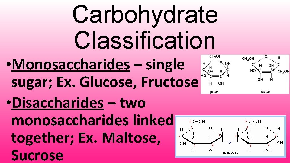 Carbohydrate Classification • Monosaccharides – single sugar; Ex. Glucose, Fructose • Disaccharides – two