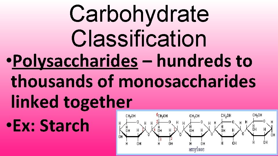 Carbohydrate Classification • Polysaccharides – hundreds to thousands of monosaccharides linked together • Ex:
