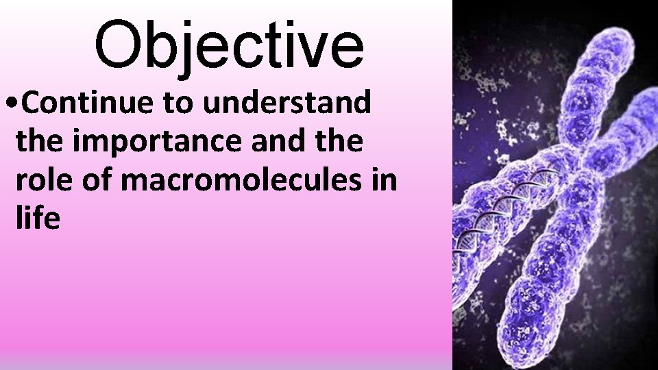 Objective • Continue to understand the importance and the role of macromolecules in life