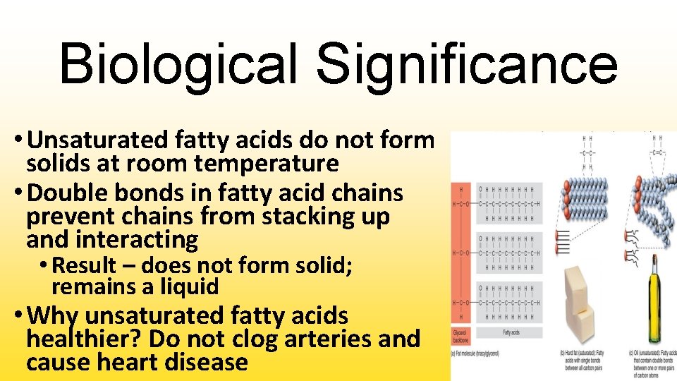 Biological Significance • Unsaturated fatty acids do not form solids at room temperature •