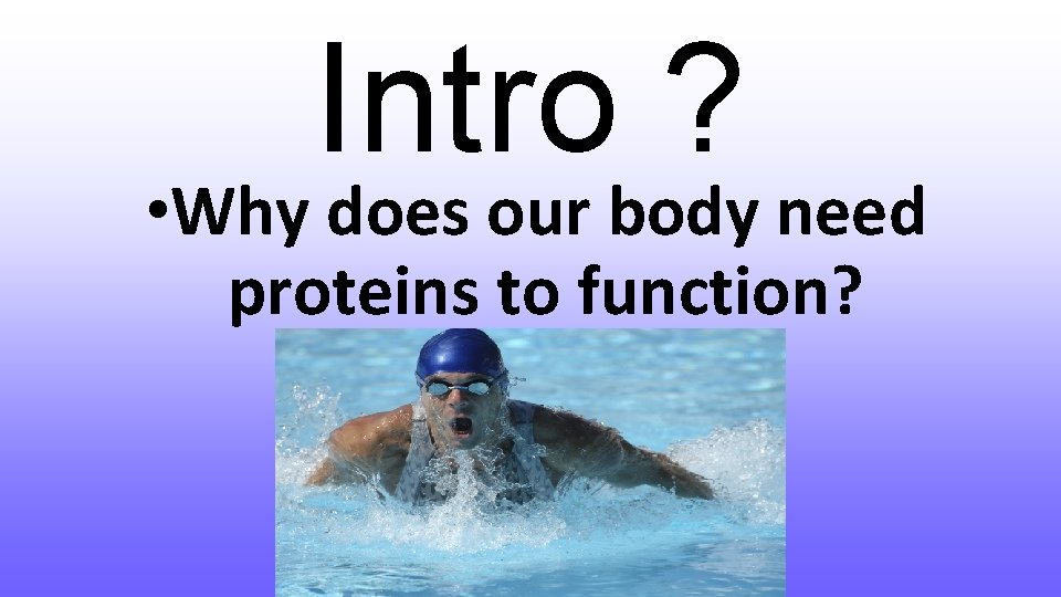 Intro ? • Why does our body need proteins to function? 