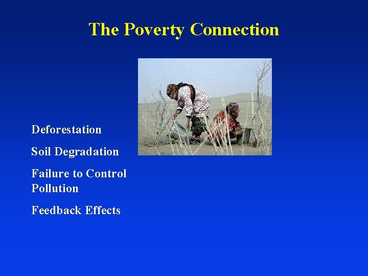 The Poverty Connection Deforestation Soil Degradation Failure to Control Pollution Feedback Effects 