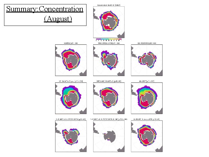 Summary: Concentration (August) 