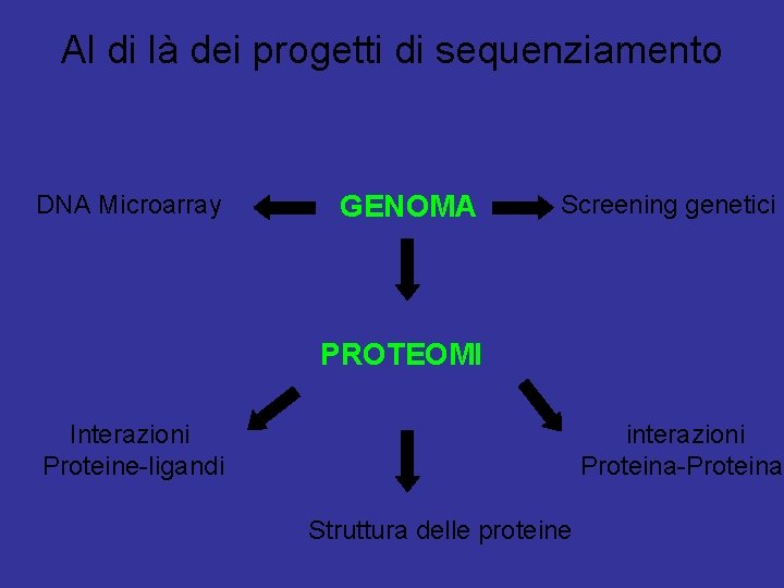 Al di là dei progetti di sequenziamento DNA Microarray GENOMA Screening genetici PROTEOMI Interazioni