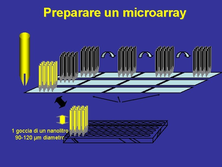 Preparare un microarray 1 goccia di un nanolitro 90 -120 μm diametro 