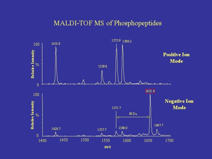 MALDI-TOF MS of Phosphopeptides Relative Intensity 100 1573. 9 1588. 2 1431. 8 Positive