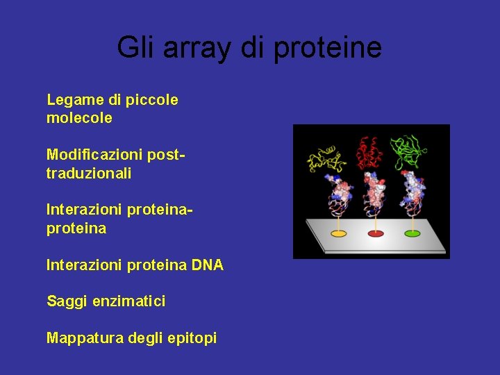 Gli array di proteine Legame di piccole molecole Modificazioni posttraduzionali Interazioni proteina DNA Saggi
