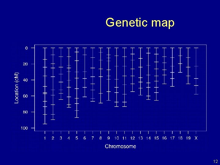 Genetic map 12 