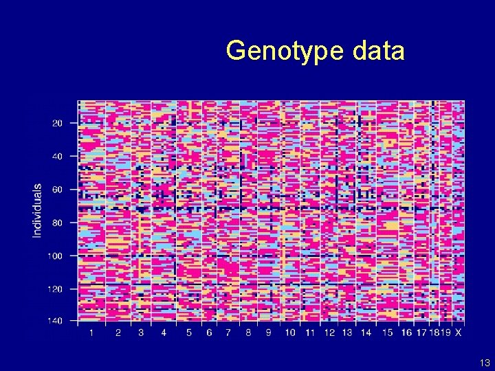 Genotype data 13 