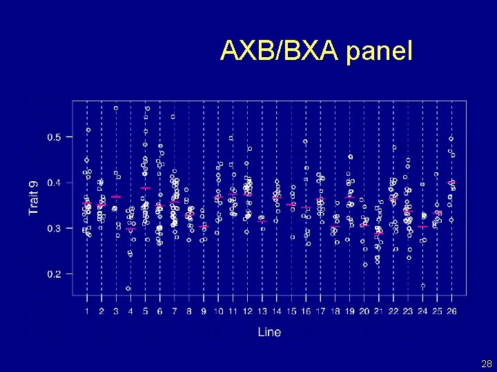 AXB/BXA panel 28 