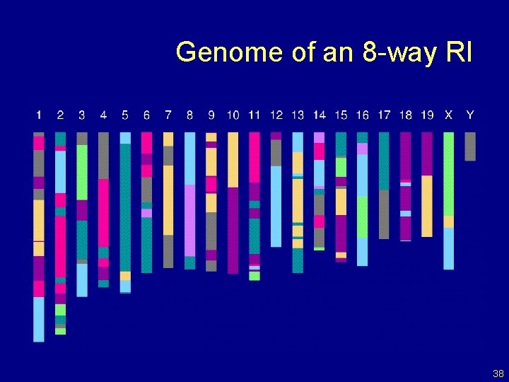 Genome of an 8 -way RI 38 