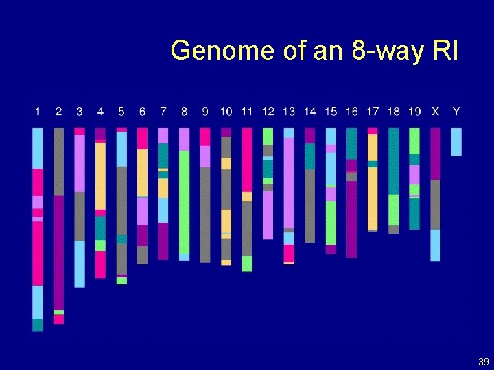 Genome of an 8 -way RI 39 