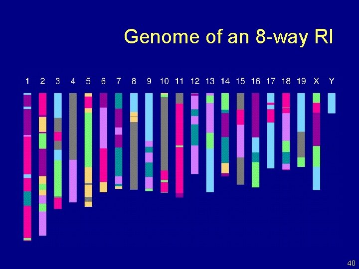 Genome of an 8 -way RI 40 