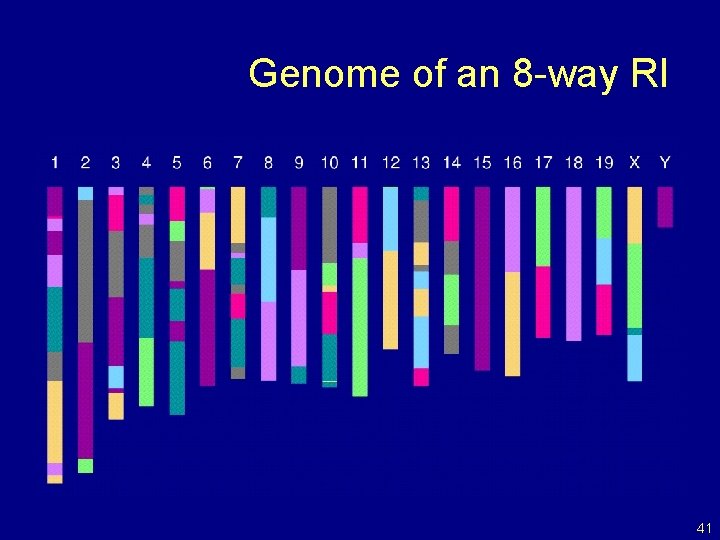 Genome of an 8 -way RI 41 