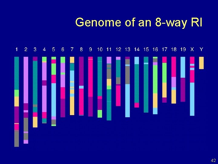 Genome of an 8 -way RI 42 