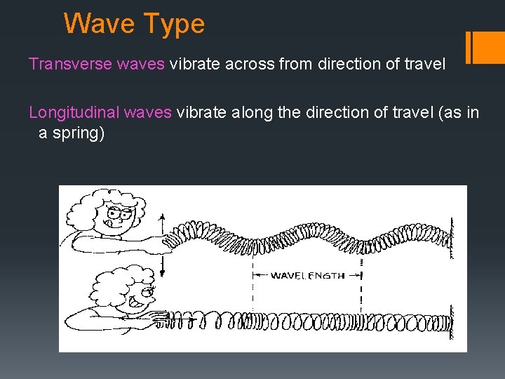 Wave Type Transverse waves vibrate across from direction of travel Longitudinal waves vibrate along