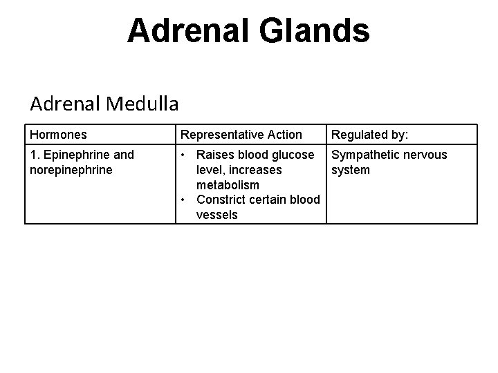 Adrenal Glands Adrenal Medulla Hormones Representative Action Regulated by: 1. Epinephrine and norepinephrine • Adrenal Glands Adrenal Medulla Hormones Representative Action Regulated by: 1. Epinephrine and norepinephrine •