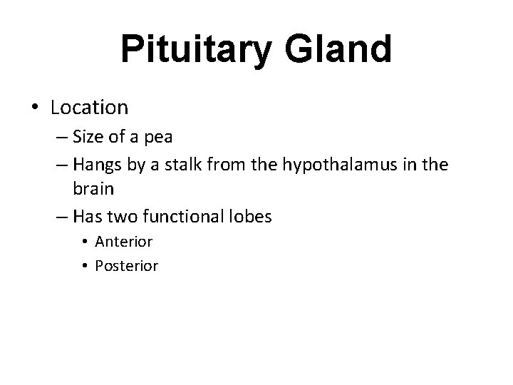 Pituitary Gland • Location – Size of a pea – Hangs by a stalk Pituitary Gland • Location – Size of a pea – Hangs by a stalk