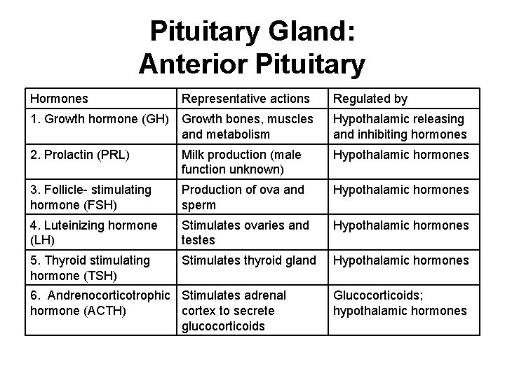Pituitary Gland: Anterior Pituitary Hormones Representative actions Regulated by 1. Growth hormone (GH) Growth Pituitary Gland: Anterior Pituitary Hormones Representative actions Regulated by 1. Growth hormone (GH) Growth