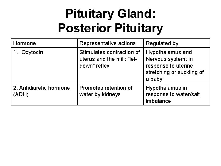 Pituitary Gland: Posterior Pituitary Hormone Representative actions Regulated by 1. Oxytocin Stimulates contraction of Pituitary Gland: Posterior Pituitary Hormone Representative actions Regulated by 1. Oxytocin Stimulates contraction of