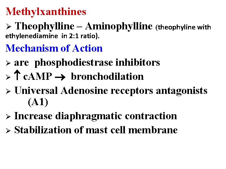 Methylxanthines Ø Theophylline – Aminophylline (theophyline with ethylenediamine in 2: 1 ratio). Mechanism of