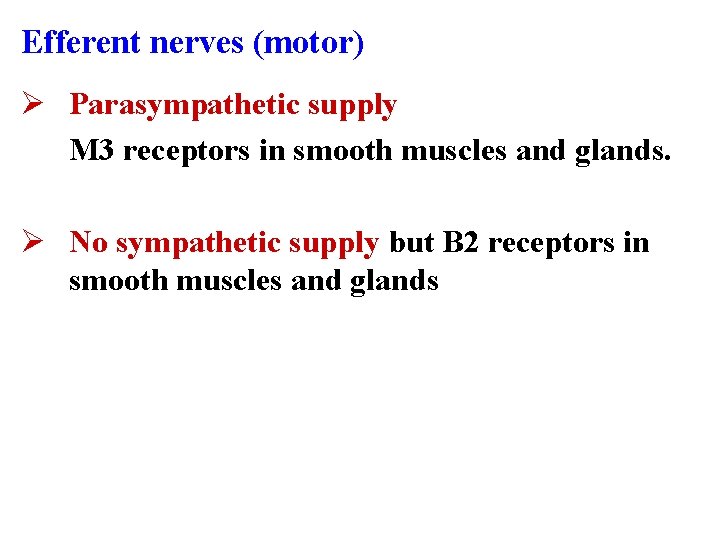 Efferent nerves (motor) Ø Parasympathetic supply M 3 receptors in smooth muscles and glands.