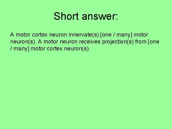 Short answer: A motor cortex neuron innervate(s) [one / many] motor neuron(s). A motor