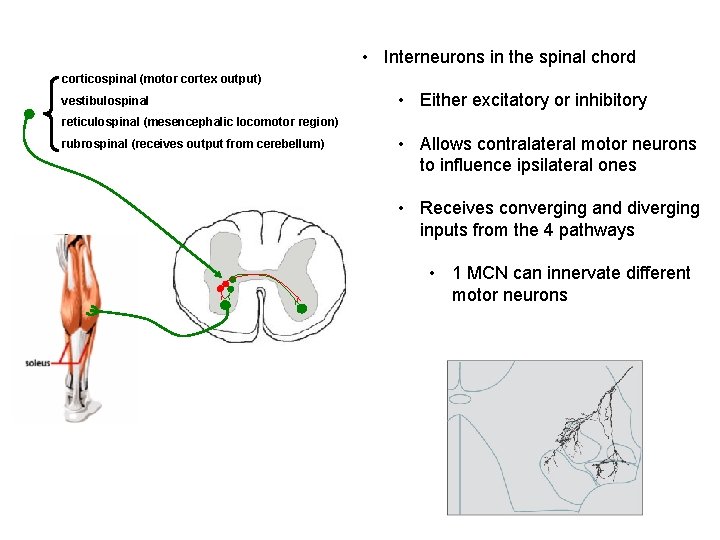 Please provide TA evaluation and feedback http tinyurl