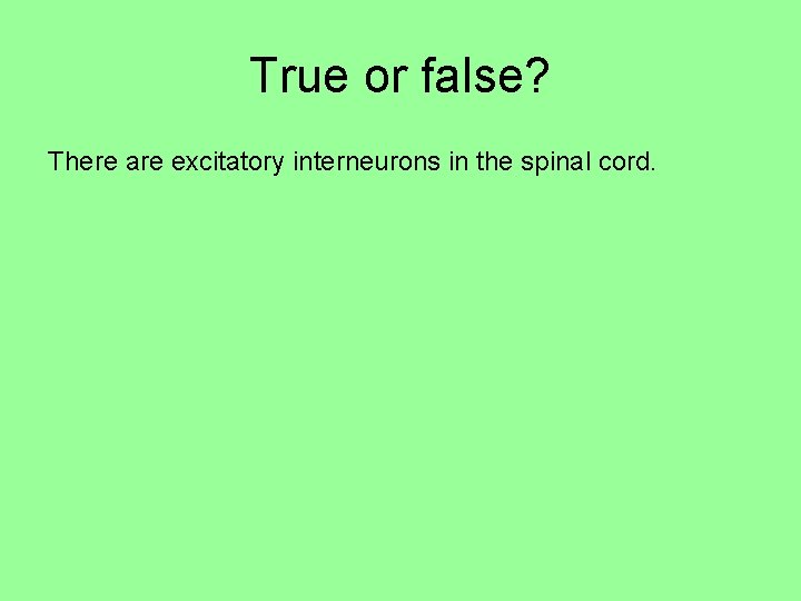 True or false? There are excitatory interneurons in the spinal cord. 