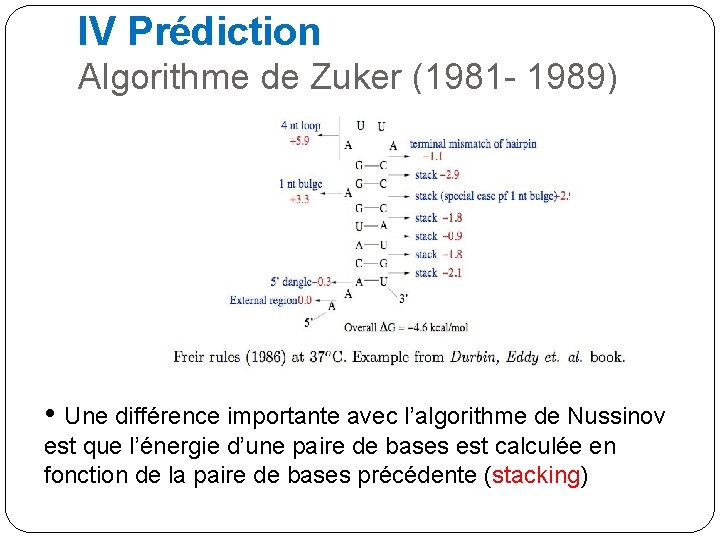 IV Prédiction Algorithme de Zuker (1981 - 1989) • Une différence importante avec l’algorithme