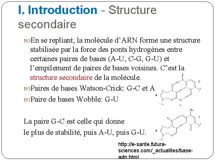 I. Introduction - Structure secondaire En se repliant, la molécule d’ARN forme une structure