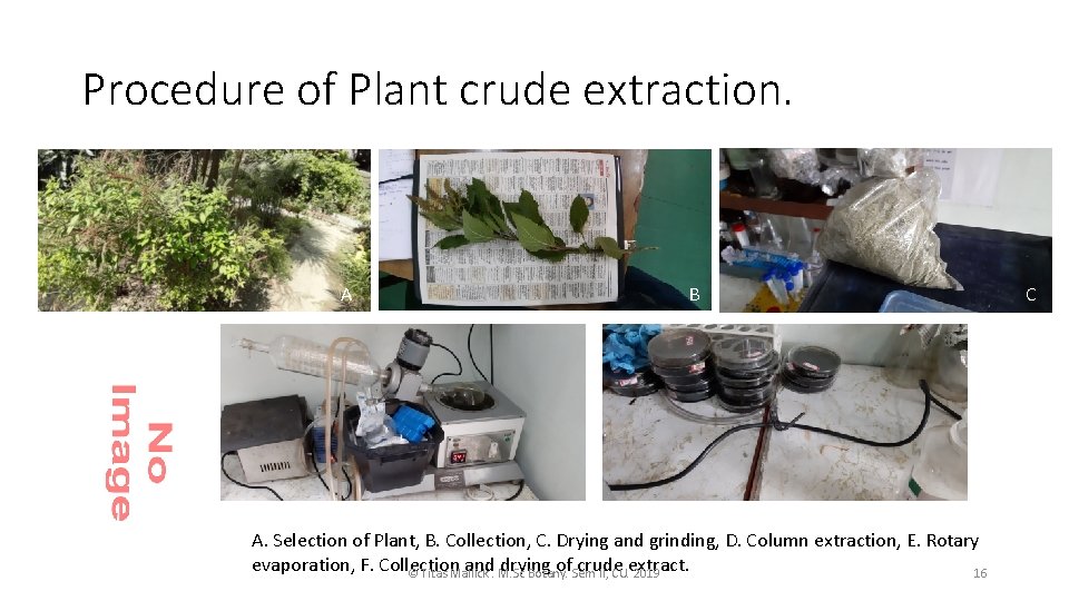Procedure of Plant crude extraction. A D B F E A. Selection of Plant,