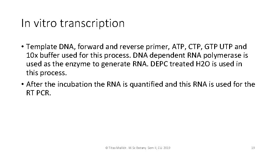 In vitro transcription • Template DNA, forward and reverse primer, ATP, CTP, GTP UTP