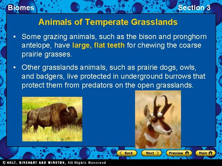 Biomes Section 3 Animals of Temperate Grasslands • Some grazing animals, such as the