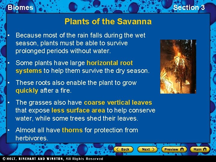 Biomes Section 3 Plants of the Savanna • Because most of the rain falls