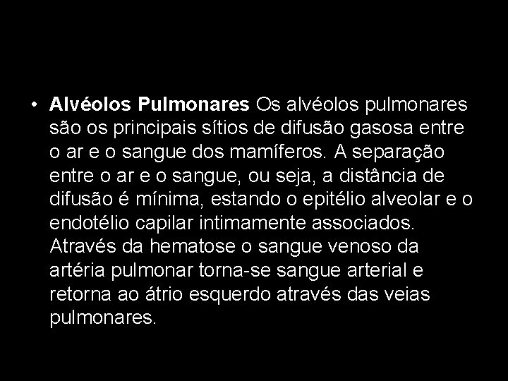  • Alvéolos Pulmonares Os alvéolos pulmonares são os principais sítios de difusão gasosa