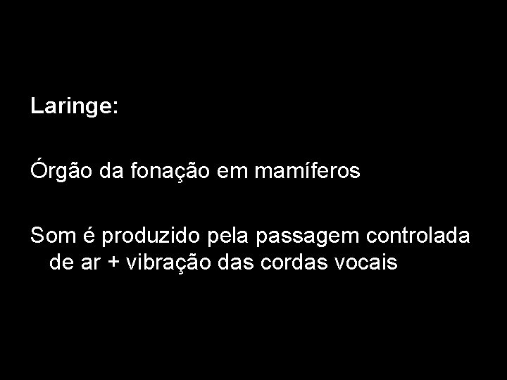 Laringe: Órgão da fonação em mamíferos Som é produzido pela passagem controlada de ar