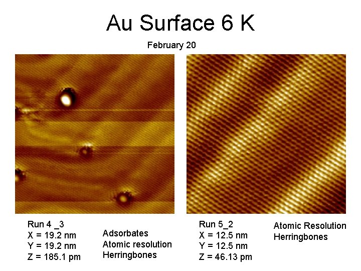 Au Surface 6 K February 20 Run 4 _3 X = 19. 2 nm